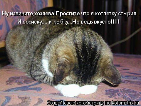 Ну извините,хозяева!Простите что я котлетку стырил... И сосиску.....и рыбку...Но ведь вкусно!!!!!... Котоматрица: Ну извините,хозяева!Простите что я котлетку стырил... И сосиску.....и рыбку...Но ведь вкусно!!!!!