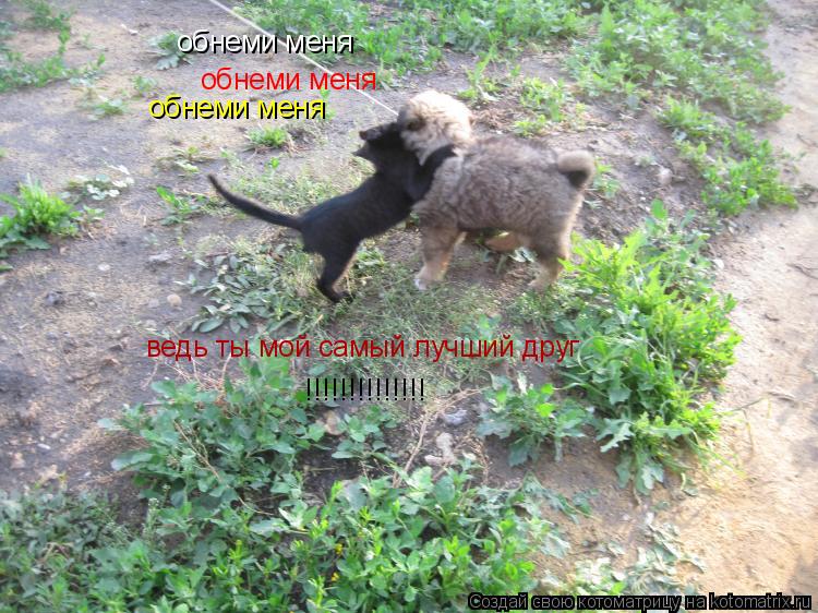 обнеми меня обнеми меня обнеми меня ведь ты мой самый лучший друг !!!!!!!!!!!!!!... Котоматрица: обнеми меня обнеми меня обнеми меня ведь ты мой самый лучший друг !!!!!!!!!!!!!!