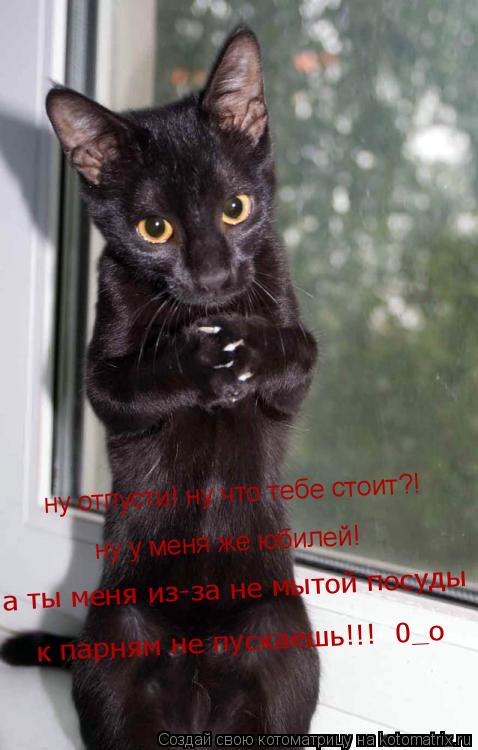 ну отпусти! ну что тебе стоит?! ну у меня же юбилей! а ты меня из-за не мытой посуды к парням не пуск... Котоматрица: ну отпусти! ну что тебе стоит?! ну у меня же юбилей! а ты меня из-за не мытой посуды к парням не пускаешь!!! 0_о