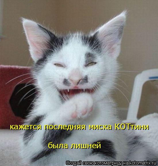 кажется последняя миска КОТтини была лишней... Котоматрица: кажется последняя миска КОТтини была лишней