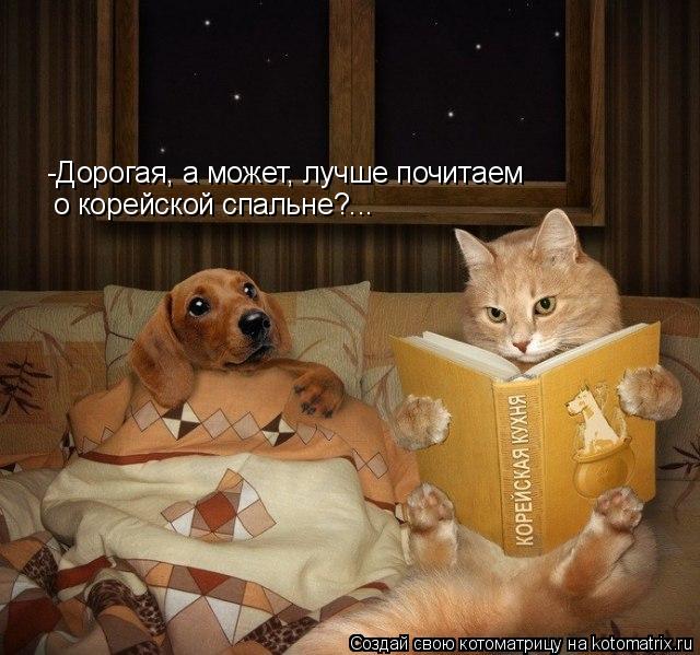 -Дорогая, а может, лучше почитаем о корейской спальне?...... Котоматрица: -Дорогая, а может, лучше почитаем о корейской спальне?...