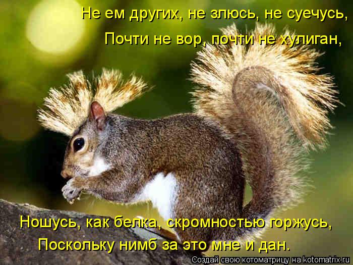 Не ем других, не злюсь, не суечусь, Почти не вор, почти не хулиган, Ношусь, как белка, скромностью го... Котоматрица: Не ем других, не злюсь, не суечусь, Почти не вор, почти не хулиган, Ношусь, как белка, скромностью горжусь, Поскольку нимб за это мне и дан.