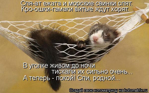 Спя-ат ежата и морские свинки спят. Кро-ошки-гамаки витые ждут хорят. В уголке живом до ночи тискали... Котоматрица: Спя-ат ежата и морские свинки спят. Кро-ошки-гамаки витые ждут хорят. В уголке живом до ночи тискали их сильно очень... А теперь - покой! Спи, р