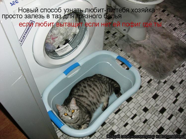 Новый способ узнать любит-ли тебя хозяйка просто залезь в таз для грязного белья просто залезь в таз... Котоматрица: Новый способ узнать любит-ли тебя хозяйка просто залезь в таз для грязного белья просто залезь в таз для грязного белья если любит вытащит