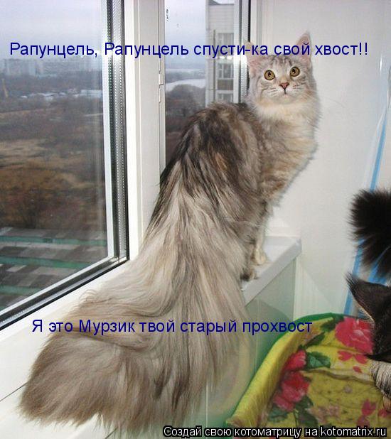 Рапунцель, Рапунцель спусти-ка свой хвост!! Я это Мурзик твой старый прохвост... Котоматрица: Рапунцель, Рапунцель спусти-ка свой хвост!! Я это Мурзик твой старый прохвост