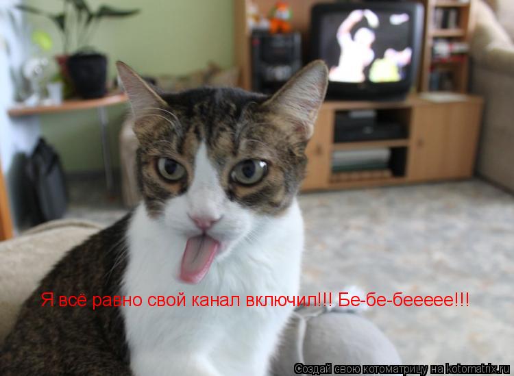 Я всё равно свой канал включил!!! Бе-бе-беееее!!!... Котоматрица: Я всё равно свой канал включил!!! Бе-бе-беееее!!!