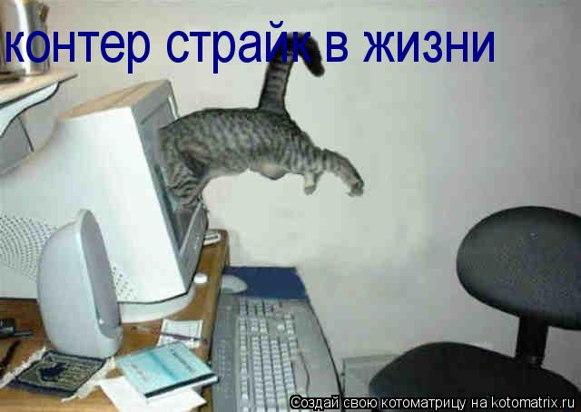 контер страйк в жизни... Котоматрица: контер страйк в жизни