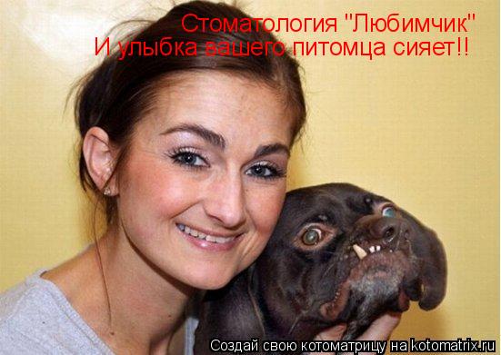 Стоматология "Любимчик" И улыбка вашего питомца сияет!!... Котоматрица: Стоматология "Любимчик" И улыбка вашего питомца сияет!!