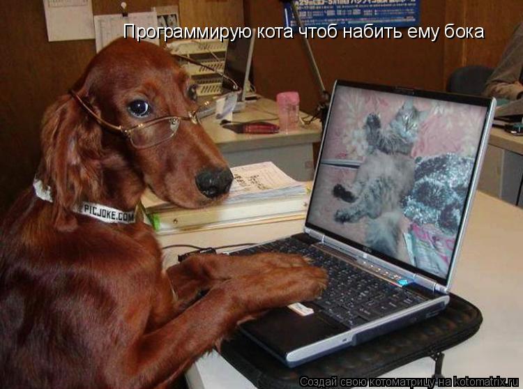 Программирую кота чтоб набить ему бока... Котоматрица: Программирую кота чтоб набить ему бока