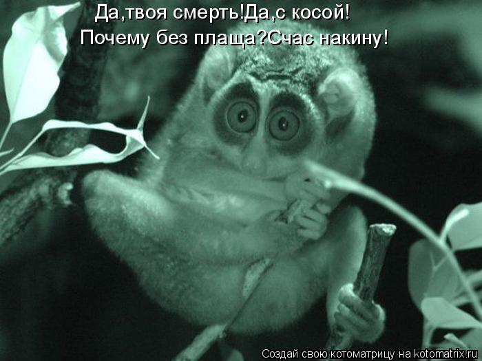 Да,твоя смерть!Да,с косой! Почему без плаща?Счас накину!... Котоматрица: Да,твоя смерть!Да,с косой! Почему без плаща?Счас накину!