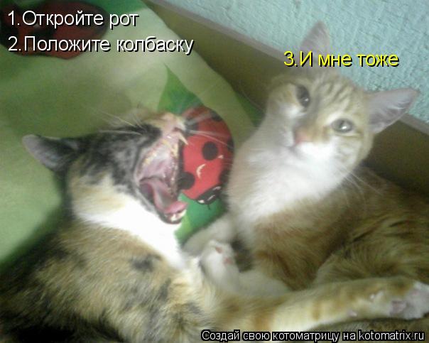 1.Откройте рот 2.Положите колбаску 3.И мне тоже... Котоматрица: 1.Откройте рот 2.Положите колбаску 3.И мне тоже