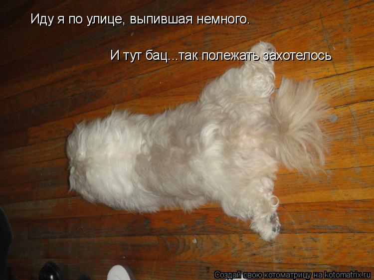 Иду я по улице, выпившая немного. И тут бац...так полежать захотелось... Котоматрица: Иду я по улице, выпившая немного. И тут бац...так полежать захотелось