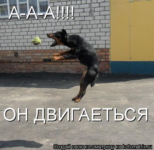 А-А-А!!!! ОН ДВИГАЕТЬСЯ... Котоматрица: А-А-А!!!! ОН ДВИГАЕТЬСЯ