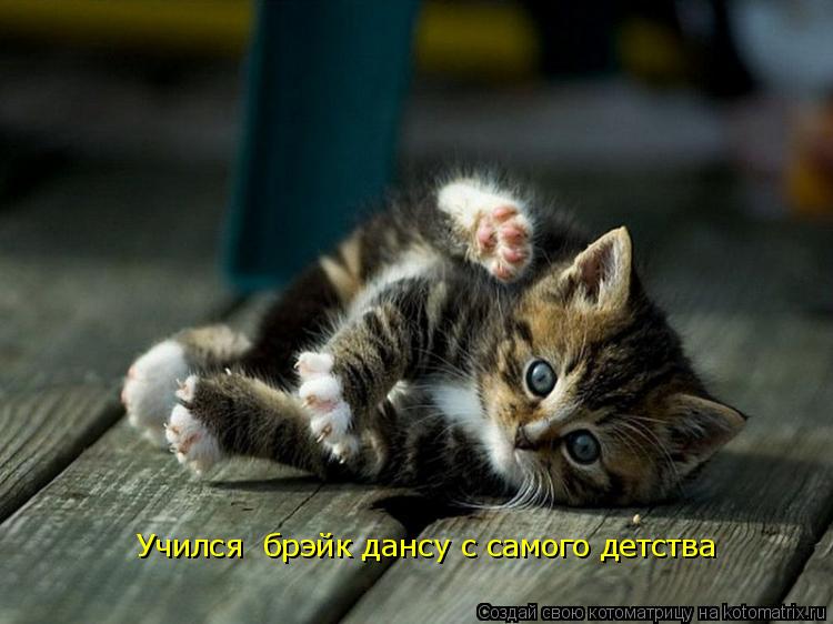 Учился брэйк дансу с самого детства... Котоматрица: Учился брэйк дансу с самого детства