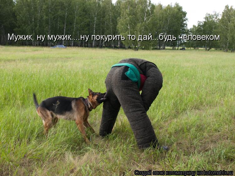 Мужик, ну мужик....ну покурить то дай...будь человеком... Котоматрица: Мужик, ну мужик....ну покурить то дай...будь человеком