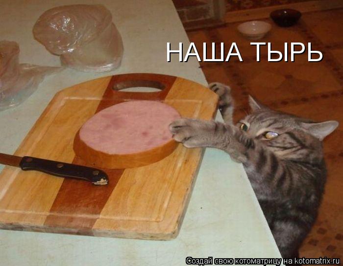 НАША ТЫРЬ... Котоматрица: НАША ТЫРЬ