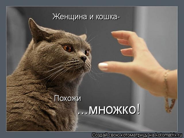 Котоматрица: Женщина и кошка- Похожи  ...множко!