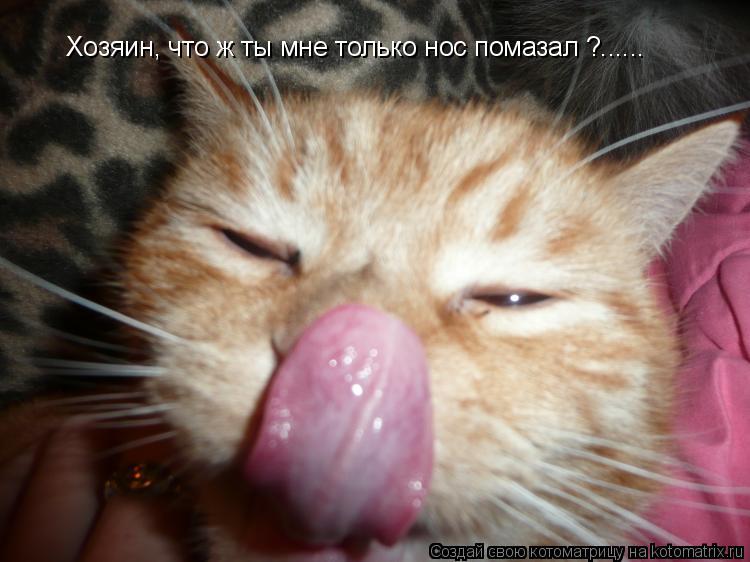 Котоматрица: Хозяин, что ж ты мне только нос помазал ?......
