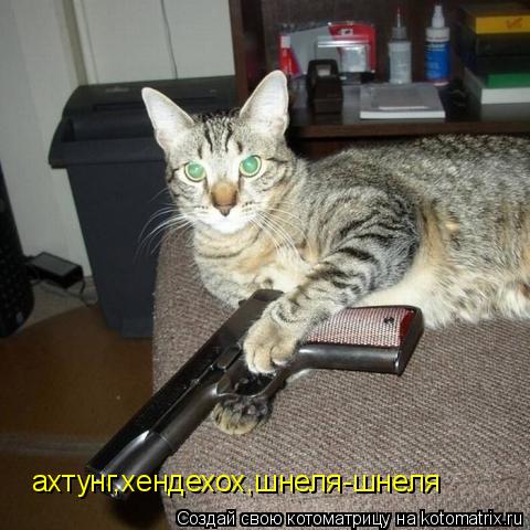 Котоматрица: ахтунг,хендехох,шнеля-шнеля