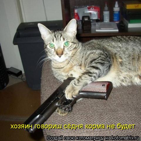 Котоматрица: хозяин говориш сёдня корма не будет