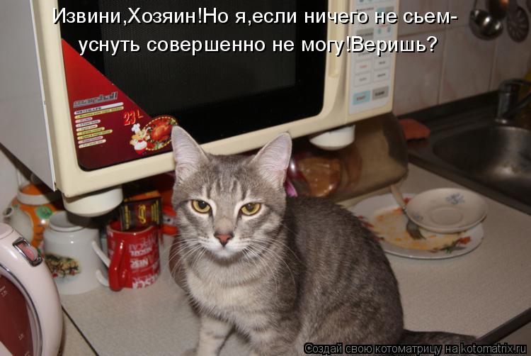 Котоматрица: Извини,Хозяин!Но я,если ничего не сьем- уснуть совершенно не могу!Веришь?