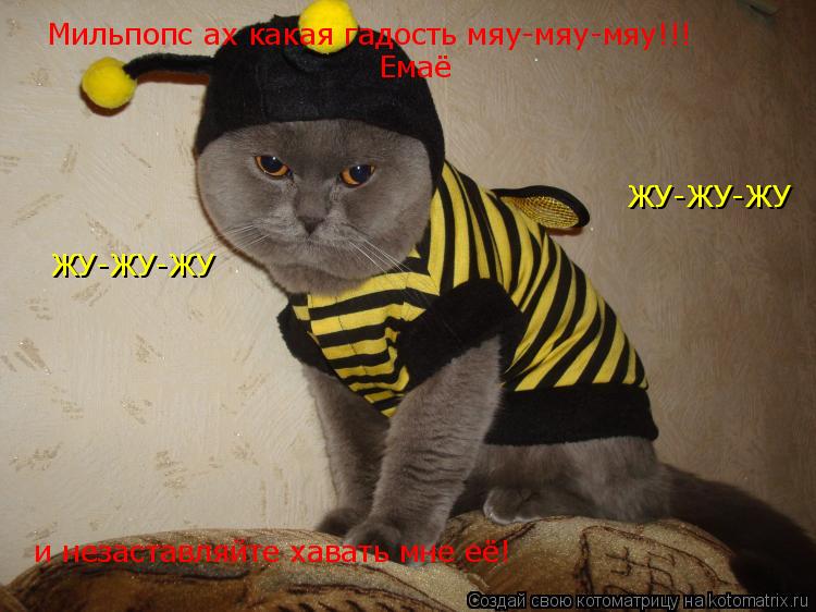 Котоматрица: Мильпопс ах какая гадость мяу-мяу-мяу!!! Емаё и незаставляйте хавать мне её! ЖУ-ЖУ-ЖУ ЖУ-ЖУ-ЖУ