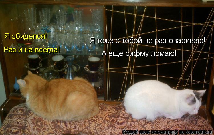 Я обиделся! Раз и на всегда! Я тоже с тобой не разговариваю! А еще рифму ломаю!... Котоматрица: Я обиделся! Раз и на всегда! Я тоже с тобой не разговариваю! А еще рифму ломаю!