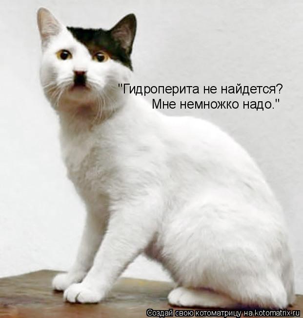 Котоматрица: "Гидроперита не найдется? Мне немножко надо."