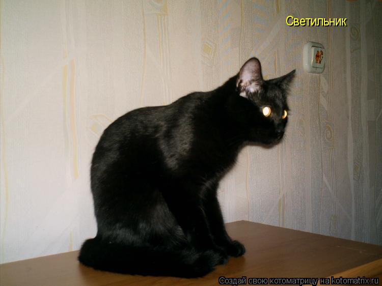Котоматрица: Светильник