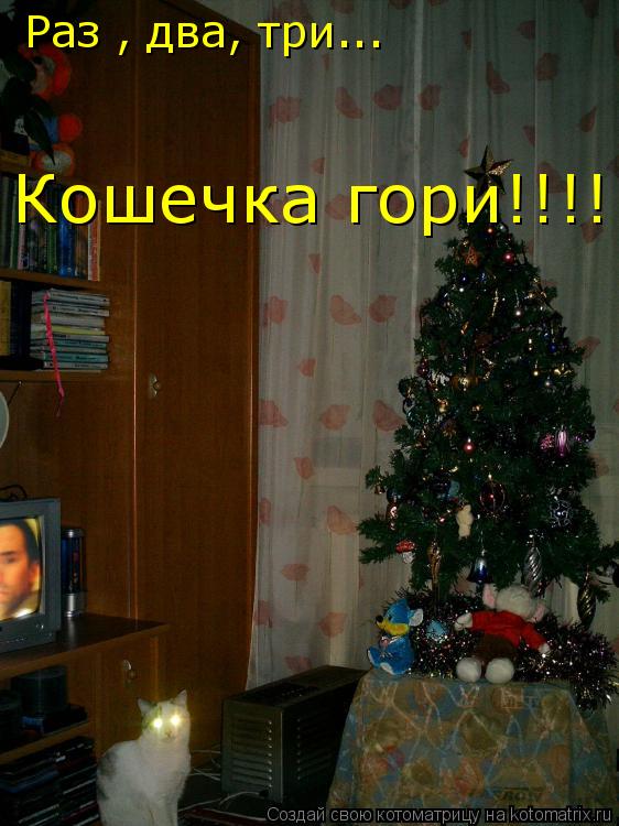Котоматрица: Раз , два, три...  Кошечка гори!!!!