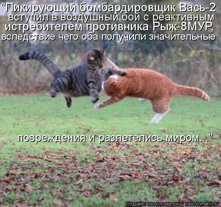 Котоматрица: "Пикирующий бомбардировщик Вась-2 вступил в воздушный бой с реактивным истребителем противника Рыж-8МУР, вследствие чего оба получили знач