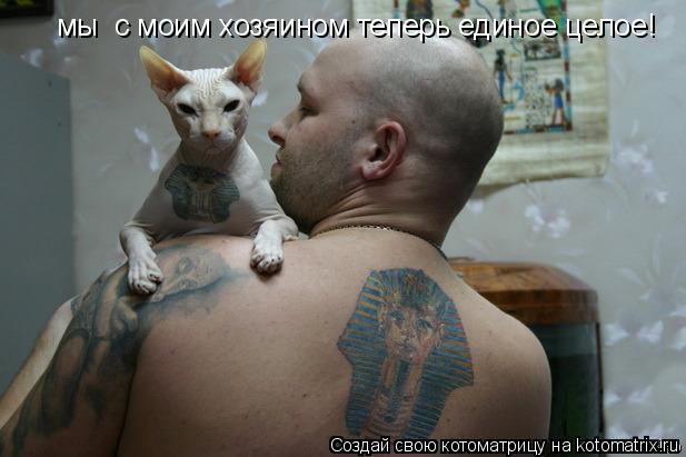 Котоматрица: мы  с моим хозяином теперь единое целое!