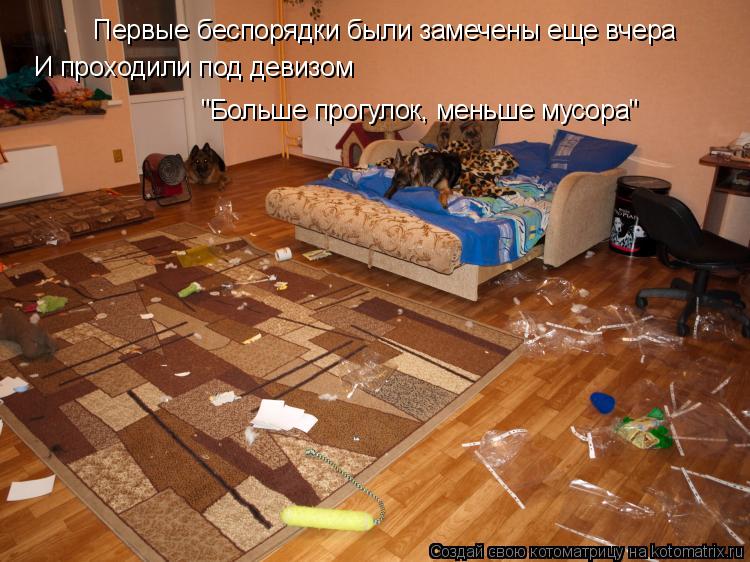 Котоматрица: Первые беспорядки были замечены еще вчера И проходили под девизом  "Больше прогулок, меньше мусора"