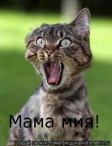 Котоматрица: Мама мия!