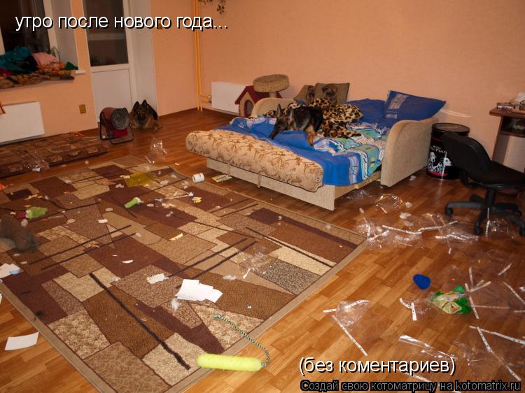 Котоматрица: утро после нового года... (без коментариев)