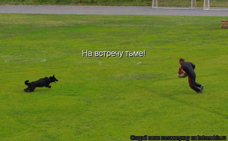 На встречу тьме!... Котоматрица: На встречу тьме!