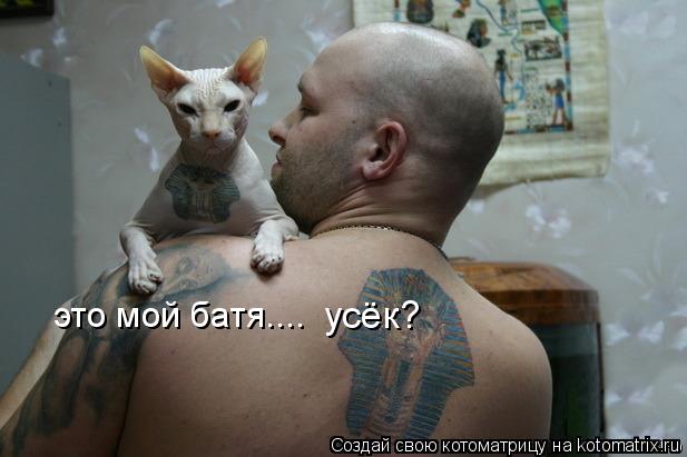 это мой батя.... усёк?... Котоматрица: это мой батя.... усёк?