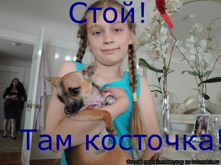 Стой! Там косточка!... Котоматрица: Стой! Там косточка!