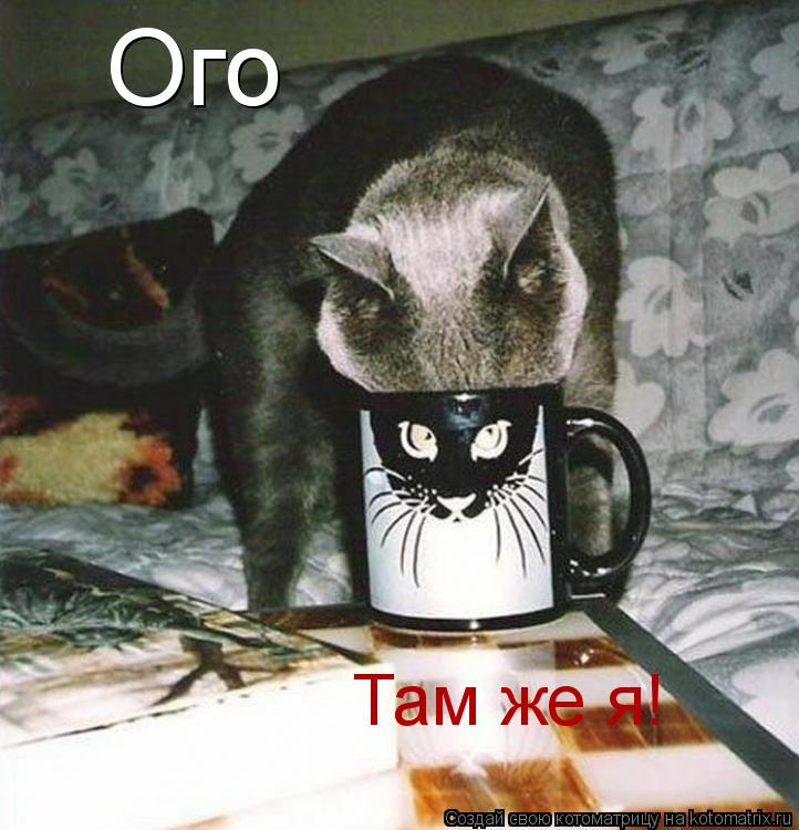 Ого Там же я!... Котоматрица: Ого Там же я!