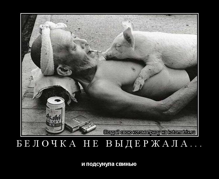 Белочка не выдержала... и подсунула свинью... Котоматрица: Белочка не выдержала... и подсунула свинью