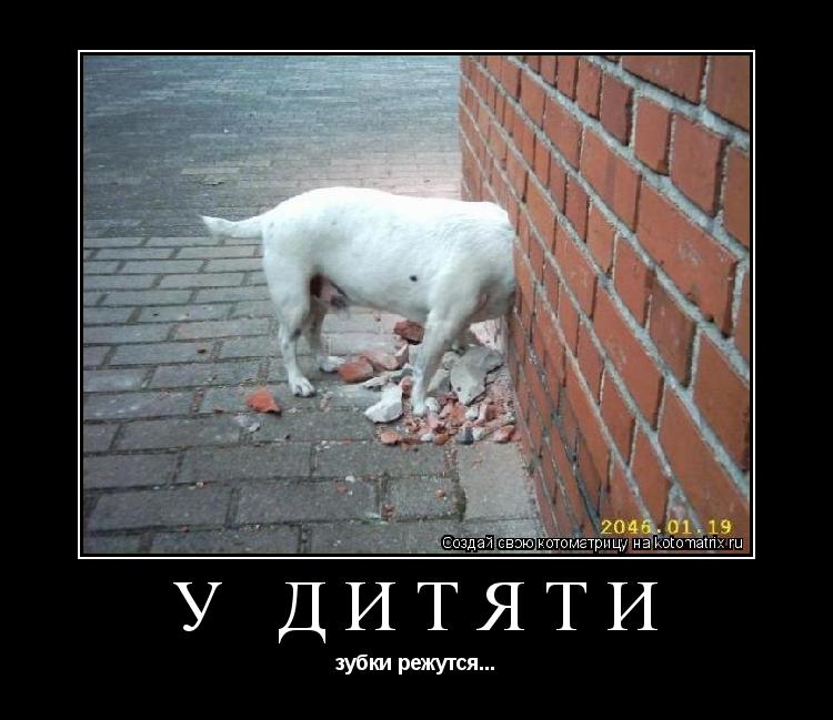 У дитяти зубки режутся...... Котоматрица: У дитяти зубки режутся...