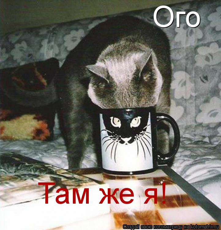 Ого Там же я!... Котоматрица: Ого Там же я!