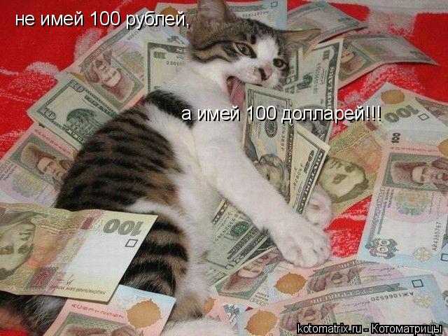не имей 100 рублей, а имей 100 долларей!!!... Котоматрица: не имей 100 рублей, а имей 100 долларей!!!