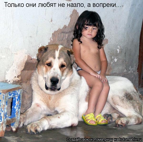 Только они любят не назло, а вопреки...... Котоматрица: Только они любят не назло, а вопреки...