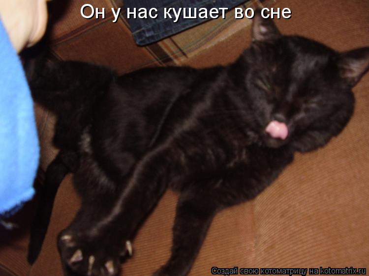 Он у нас кушает во сне... Котоматрица: Он у нас кушает во сне