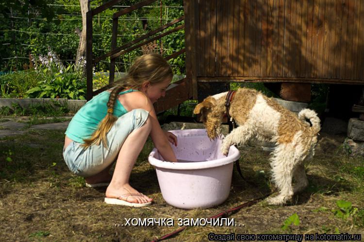 ...хомячка замочили...... Котоматрица: ...хомячка замочили...