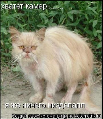 хватет камер ....... я же ничего низделалл... Котоматрица: хватет камер ....... я же ничего низделалл