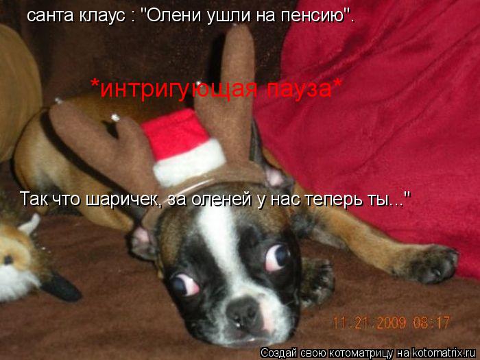 санта клаус : "Олени ушли на пенсию". Так что шаричек, за оленей у нас теперь ты..." *интригующая пау... Котоматрица: санта клаус : "Олени ушли на пенсию". Так что шаричек, за оленей у нас теперь ты..." *интригующая пауза*