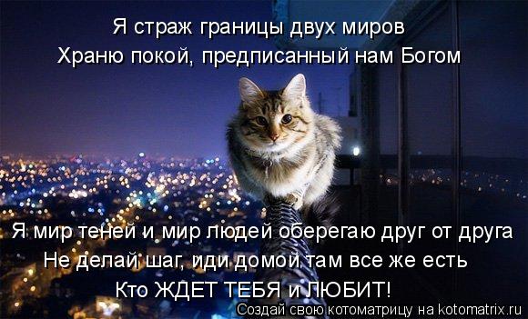 Я страж границы двух миров Храню покой, предписанный нам Богом Я мир теней и мир людей оберегаю друг ... Котоматрица: Я страж границы двух миров Храню покой, предписанный нам Богом Я мир теней и мир людей оберегаю друг от друга Не делай шаг, иди домой там все
