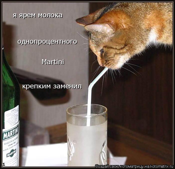 я ярем молока однопроцентного Martini крепким заменил... Котоматрица: я ярем молока однопроцентного Martini крепким заменил